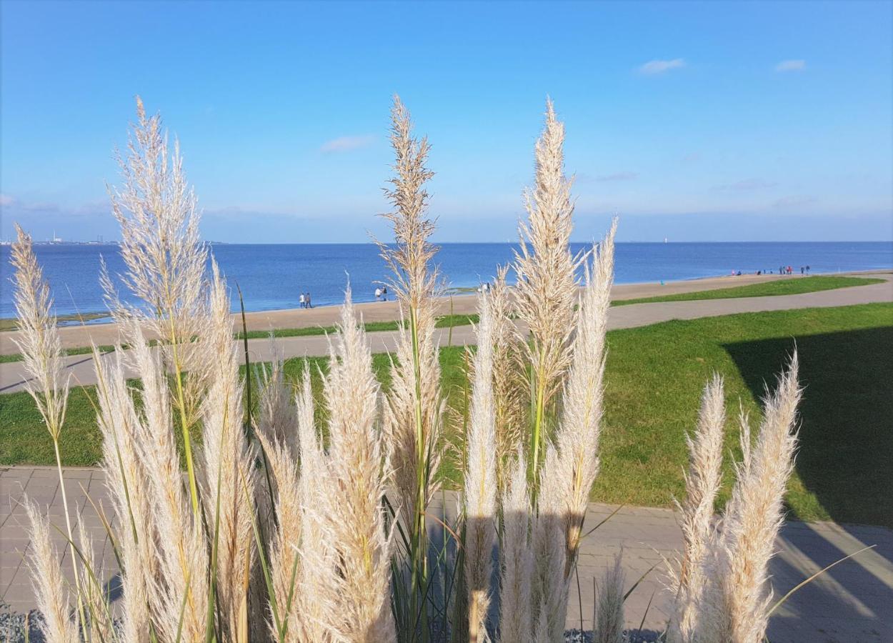 דנגסט Apartment Jadestrand, Am Alten Deich 4-6, Whg 1 20 מראה חיצוני תמונה
